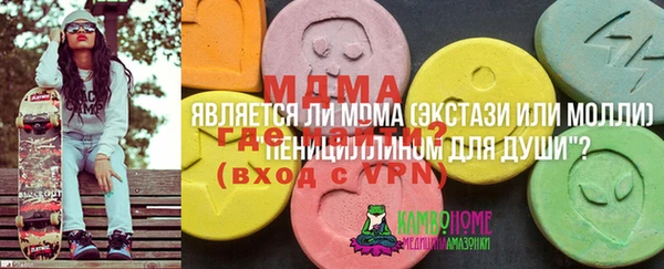 бошки Алексин