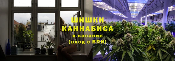 бошки Алексин