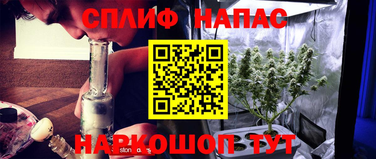 Конопля ГИДРОПОН  Вход с VPN  Каннабис планчик  Канабис сатива  Марихуана семена  Красногорск 